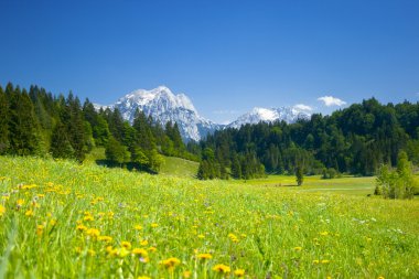 Meadows and mountains clipart