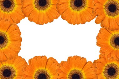 Gerbera çiçekleri ile çerçeve