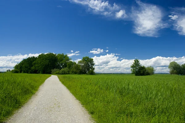 stock image Landscape with dirt road