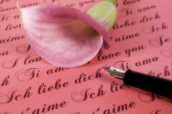 stock image Love letter with calla flower