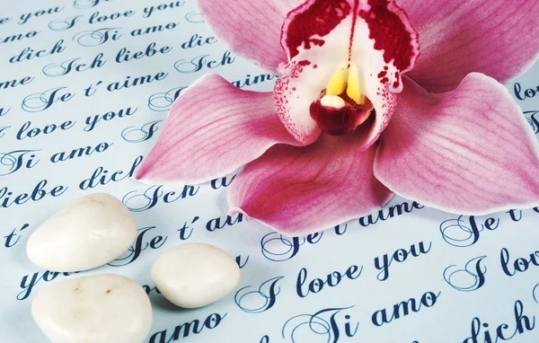Lettera d'amore con orchidea rosa — Foto Stock
