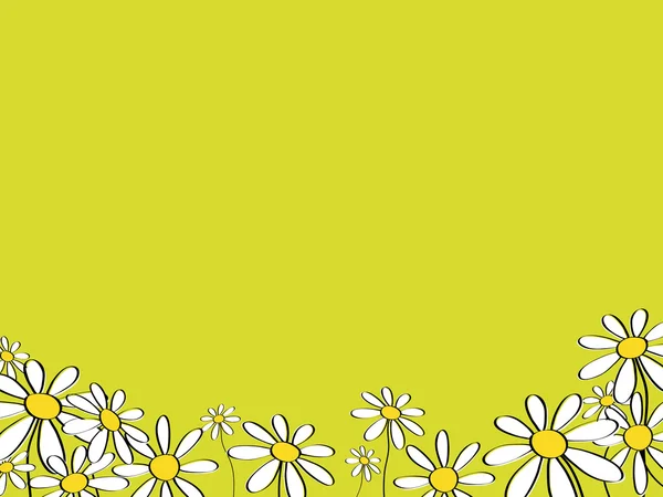 Карточка с цветами Маргариты — стоковое фото