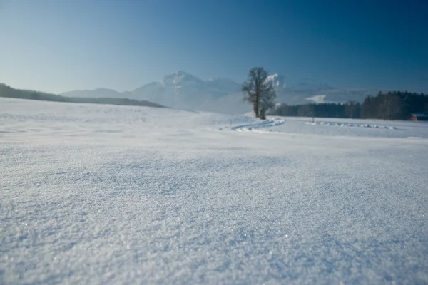 stock image Winter landscape in alpes