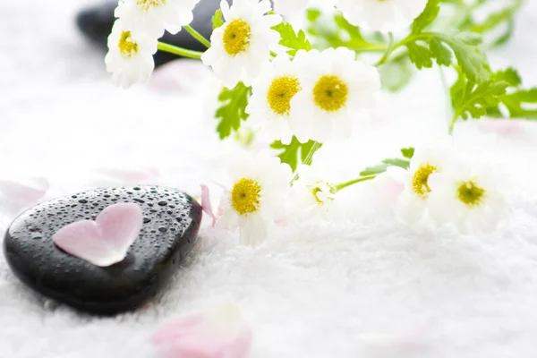 Stone with blossoms and petals — Stock Photo, Image