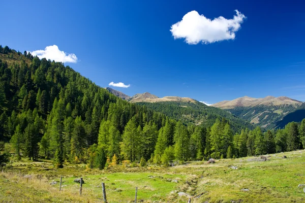 stock image Scenic view of austrian alps