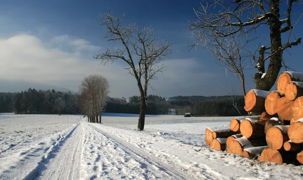 Βαυαρική χειμερινό τοπίο Εικόνα Αρχείου