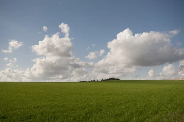 stock image Panoramic field view