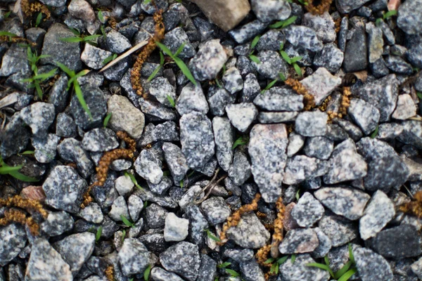 Small rocks — Stock Photo, Image