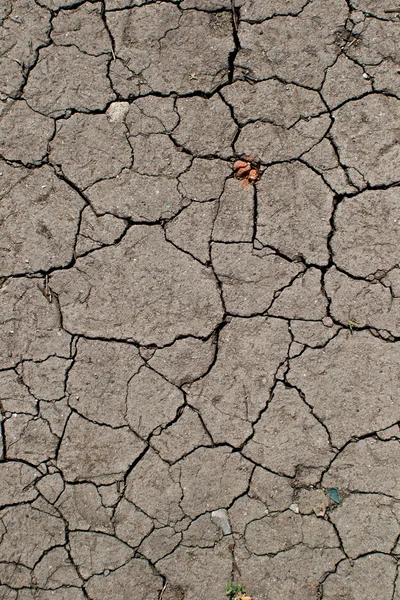 stock image Cracked clay ground