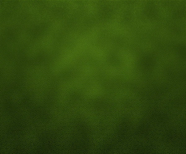 緑の革の質感の背景 — ストック写真