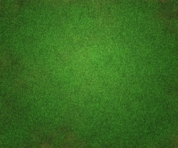 Grass texture bakgrund — Stockfoto
