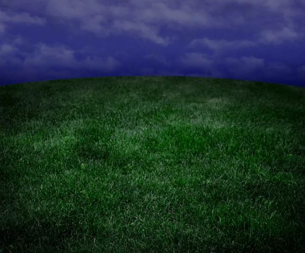 Grönt gräs äng bakgrund — Stockfoto