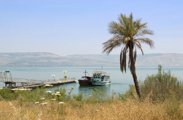 stock image By the Sea of Galilee