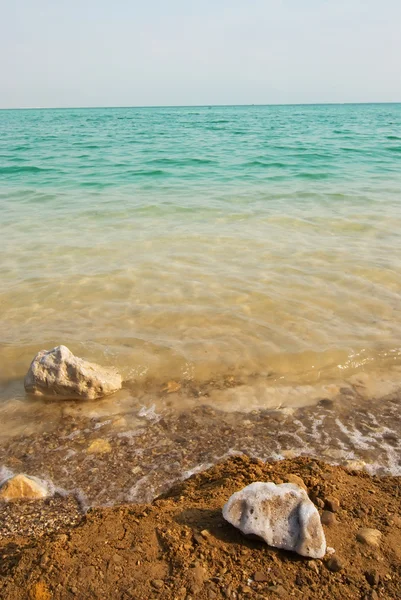 stock image By the Dead Sea