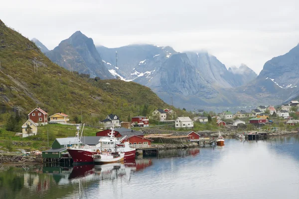 Norweski fiord Obrazy Stockowe bez tantiem