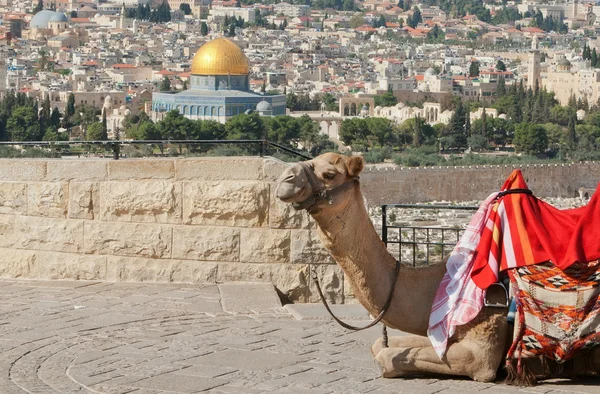 Jerusalem — Stockfoto