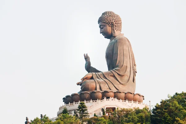 The great Buddha — Stock Photo, Image