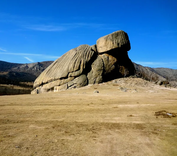 モンゴル ・ テレルジ国立公園の亀岩 ストックフォト