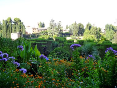 Flower garden view Granada, İspanya