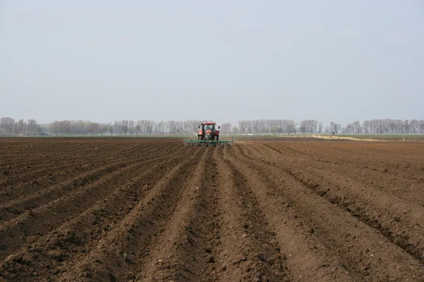 Traktor plöjer rader på ett fält — Stockfoto