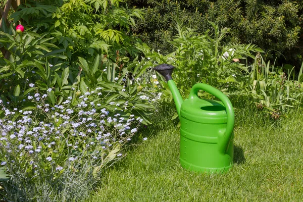 stock image Watering can in the garden