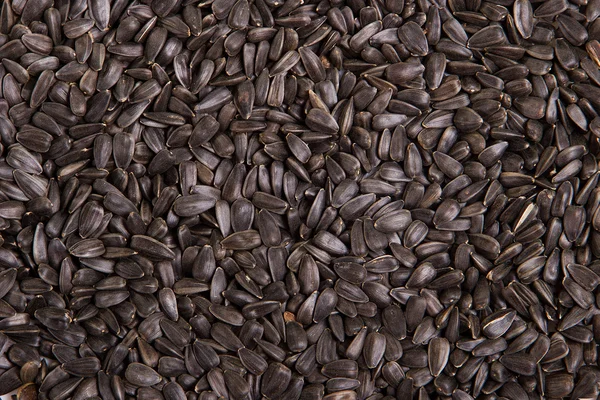 Seeds of black-background — Zdjęcie stockowe