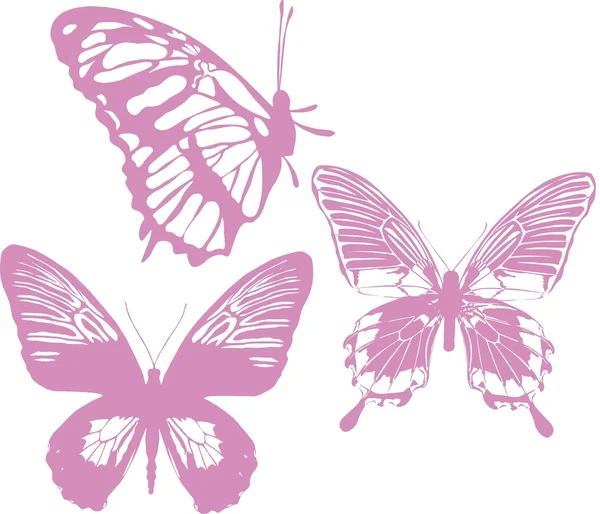 stock vector Butterfly