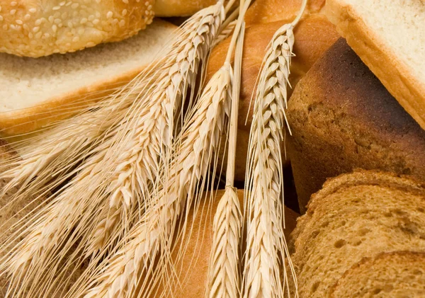 Produtos de padaria e trigo — Fotografia de Stock