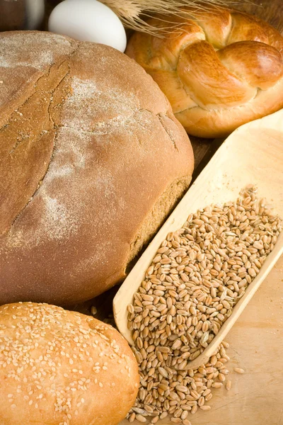 Bakery products and wheat grain — Stock Photo, Image