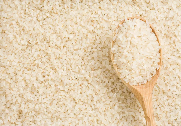 Рисовое зерно и ложка — стоковое фото