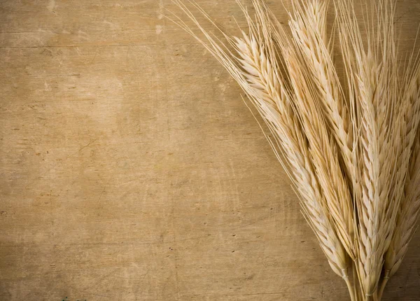 Ears spike of wheat on wood — Stock Photo, Image