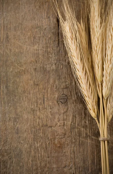 Orecchie spuntone di grano su legno — Foto Stock