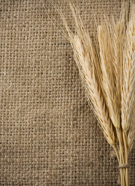 Wheat grain and sack as background — Stock Photo, Image