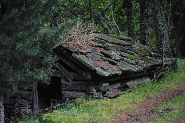 An old hut — Stock Photo, Image