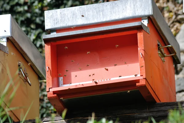 stock image Hive for bees