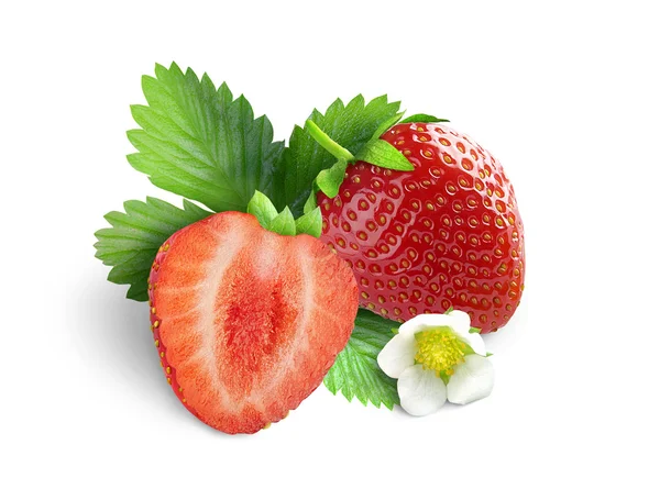 Erdbeeren mit Blättern und Blüten. isoliert auf weißem Hintergrund — Stockfoto