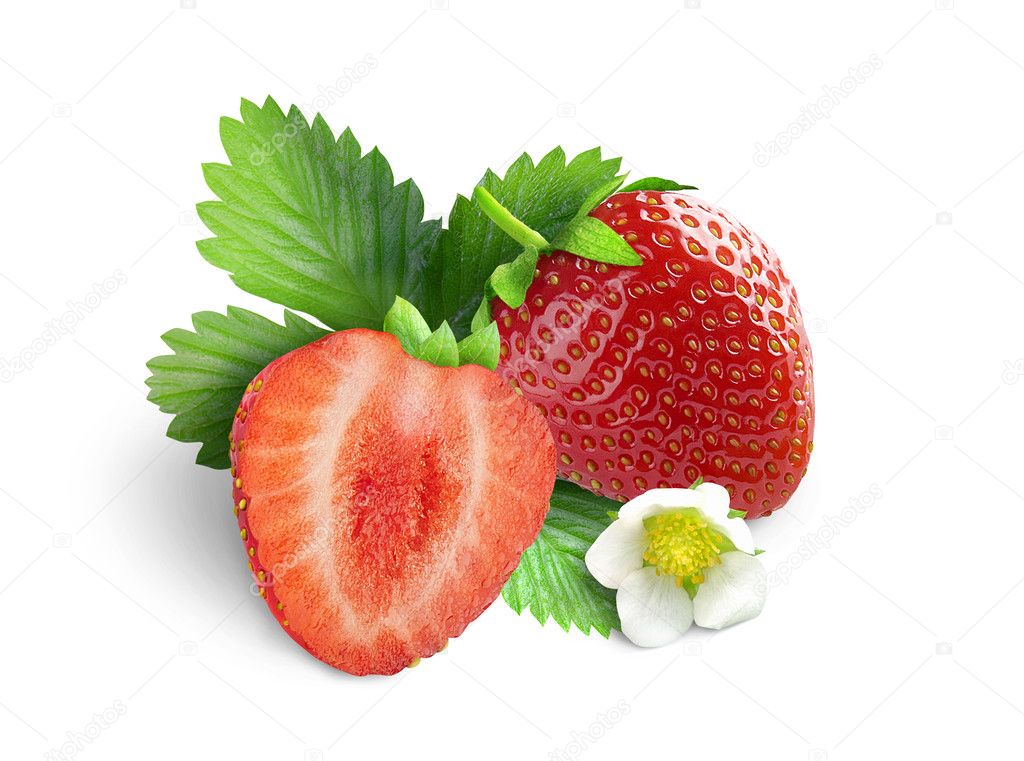 Strawberries with leaves and flower. Isolated on a white background