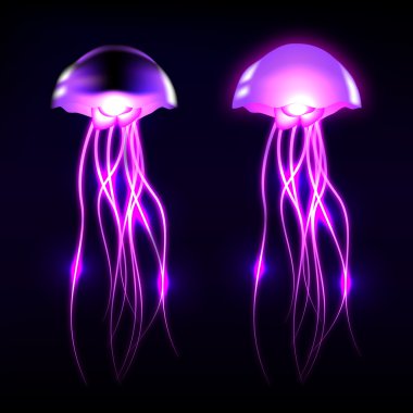 Jellyfish clipart