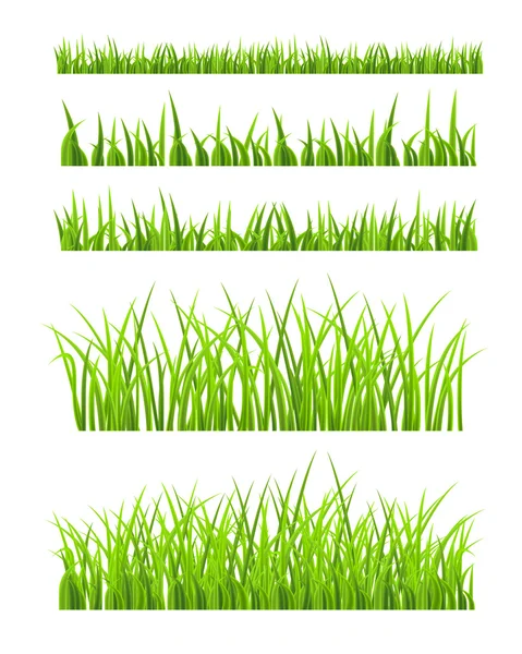 Green Grass — Stock Vector