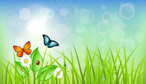 Spring Vector Background with Grass