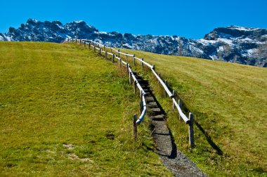 Dolomites dağ izi ve çim çit