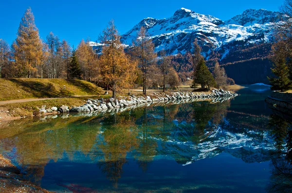 Швейцарское озеро Сильваплана — стоковое фото