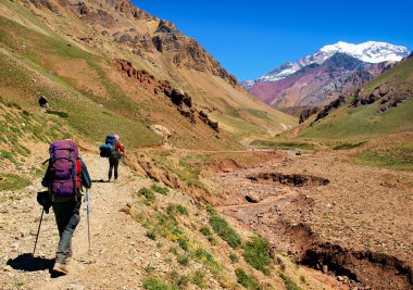 Trekking in the Andes in South America clipart