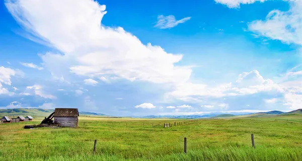 加拿大艾伯塔省的大草原风景 — 图库照片