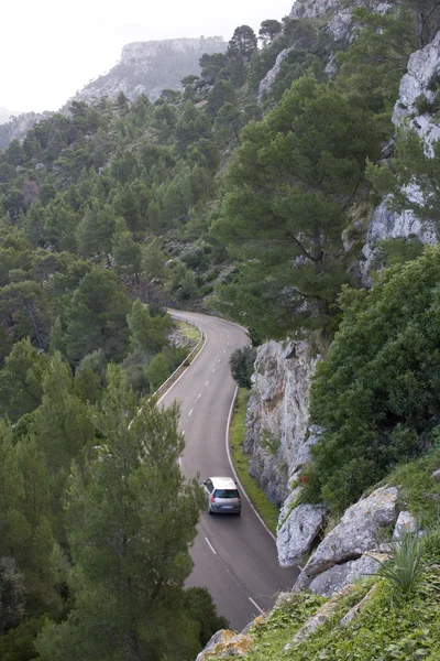 rüzgarlı road