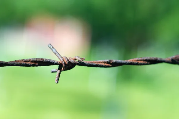 stock image Rusty barbed wire detail