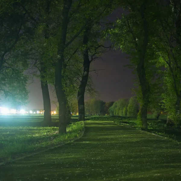 夜の公園を通る道 — ストック写真