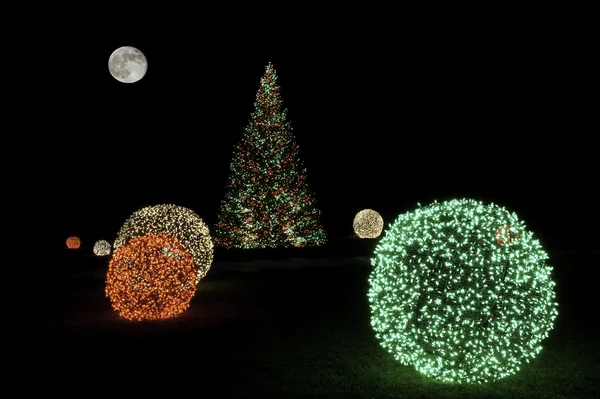 Árvore de Natal à noite com Lua Cheia Fotos De Bancos De Imagens Sem Royalties