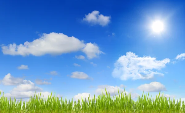 天空太阳和草的全景图 — 图库照片