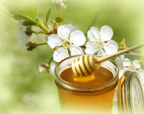 Miel y flores — Foto de Stock